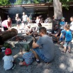 phoca_thumb_m_pohdkov les 221 Fotogalerie